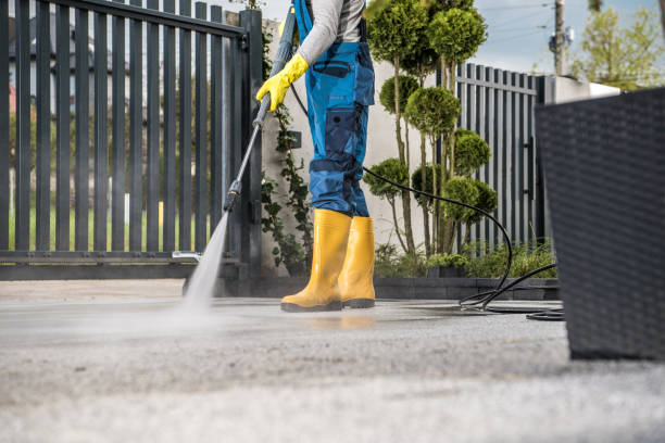 Best Fence Cleaning and Maintenance in Flowery Branch, GA